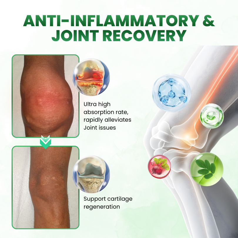 Timilk® SculptAura Moringa • Berberin + NAD+ 10-in-1 Nano-Microneedle-Patch