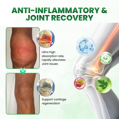 Timilk® SculptAura Moringa • Berberin + NAD+ 10-in-1 Nano-Microneedle-Patch